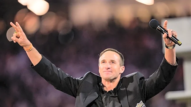 Drew Brees, Larry Fitzgerald headline HOF semifinalists