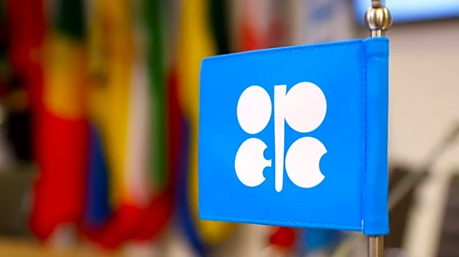 OPEC+ seen keeping oil output unchanged, focus on capacity debate