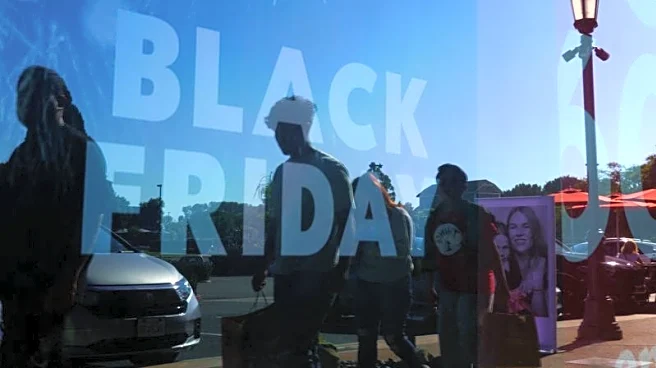 Explainer-What are shoppers looking for this Black Friday?