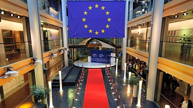 EU Parliament pushes for age limits on social media to safeguard minors