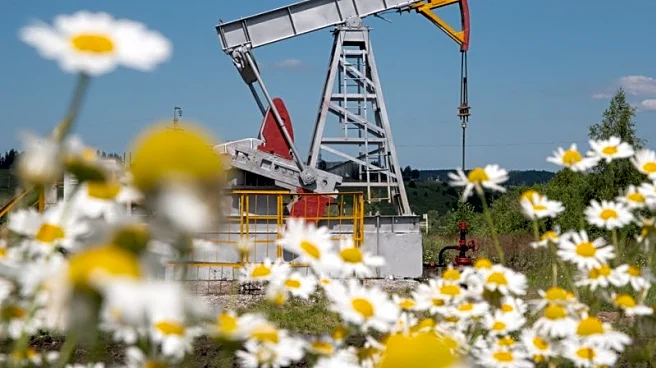 Oil prices drop on expectations of ceasefire in Ukraine unlocking Russian supply