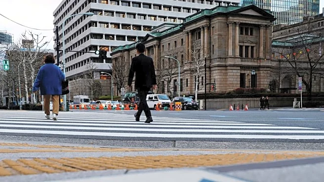Bank of Japan's Noguchi advocates gradual interest rate hikes