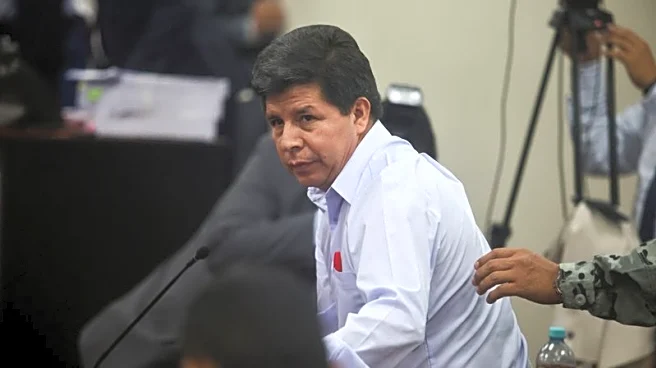 Peruvian court sentences former President Castillo to over  11 years in prison for rebellion