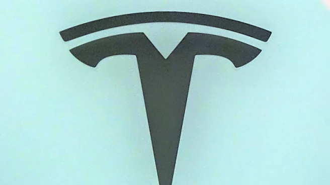 Tesla's UK car sales fall in November, New Automotive data shows