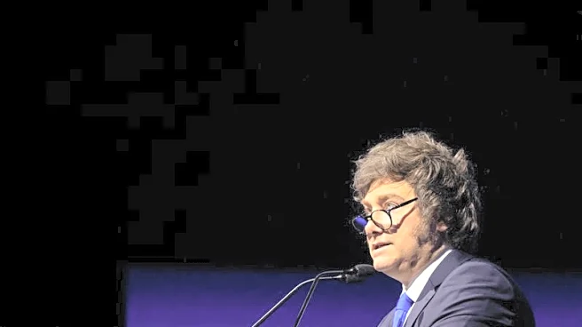 Argentina unveils tender for local US dollar bond as Milei seeks market return