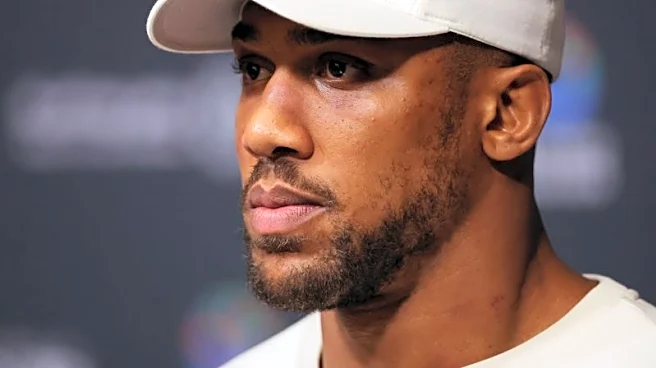 Boxing-Joshua's power a huge threat to Paul, says heavyweight Wallin