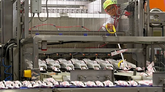 Magnum Ice Cream's reference price for market debut set at 12.80 euros, Euronext says