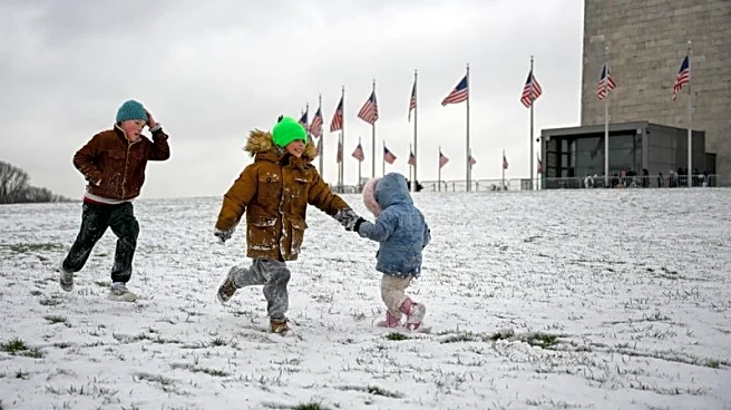 Arctic blast grips central, northeastern US in sub-freezing cold