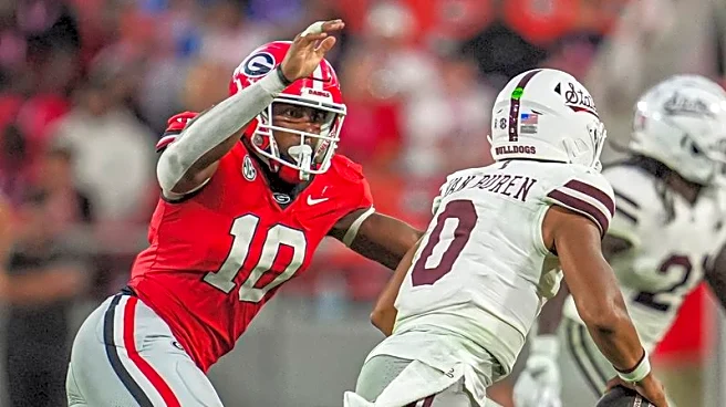 Reports: Georgia seeking $390K from DE Damon Wilson in transfer damages