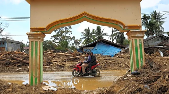 Indonesians climb over logs in walk to aid centre as flood deaths rise over 900