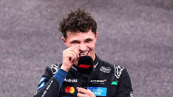 Motor racing-Tearful Norris takes F1 title as Verstappen wins Abu Dhabi race