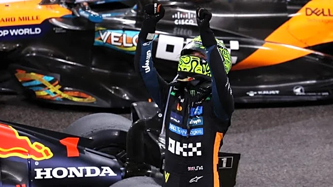 Motor racing-Norris answers his critics with first F1 title