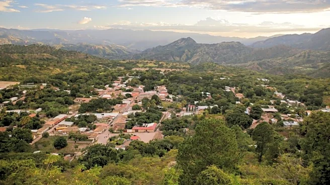 Honduran town votes in delayed election that could decide presidential race