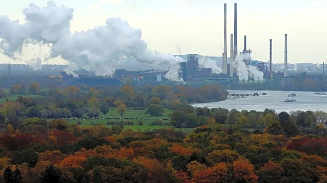 German industrial output rises more than expected in October