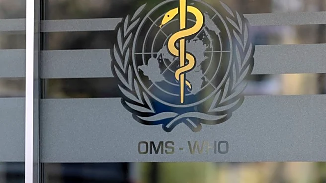 WHO says over 100 killed in attacks on Sudan kindergarten and hospital