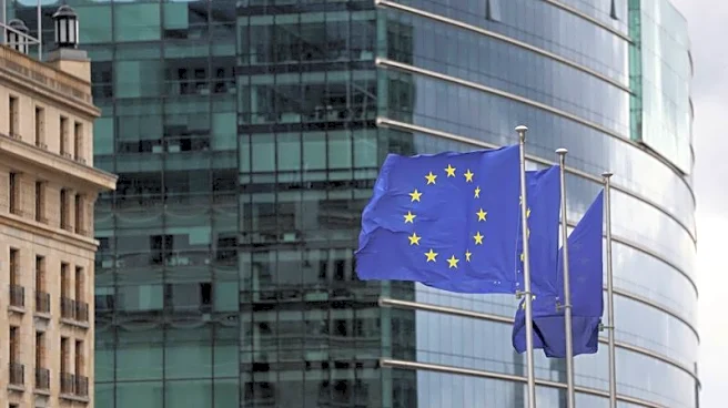 Nine EU nations urge extreme caution on 'Buy European' policies