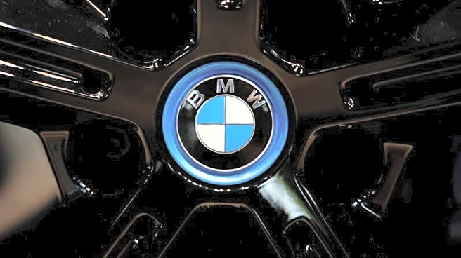 Carmakers, rental and leasing firms urge EU to avoid mandatory EV fleet targets