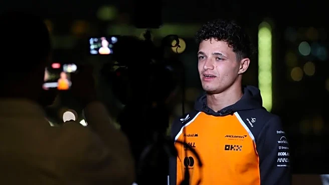 Motor racing-Norris knows life will change as F1 champion, starting with number one