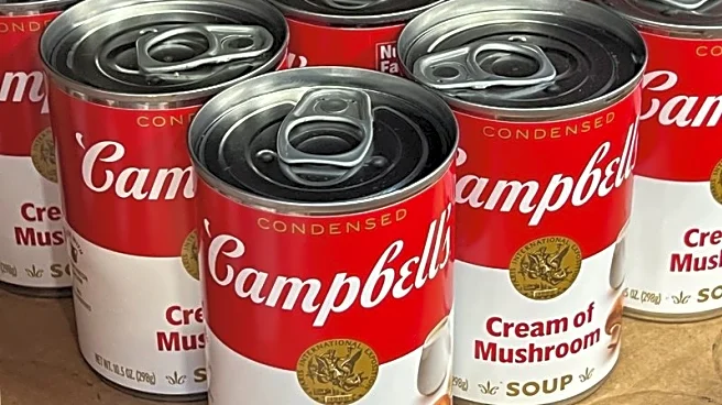 Campbell's beats sales estimates on resilient demand for packaged food products