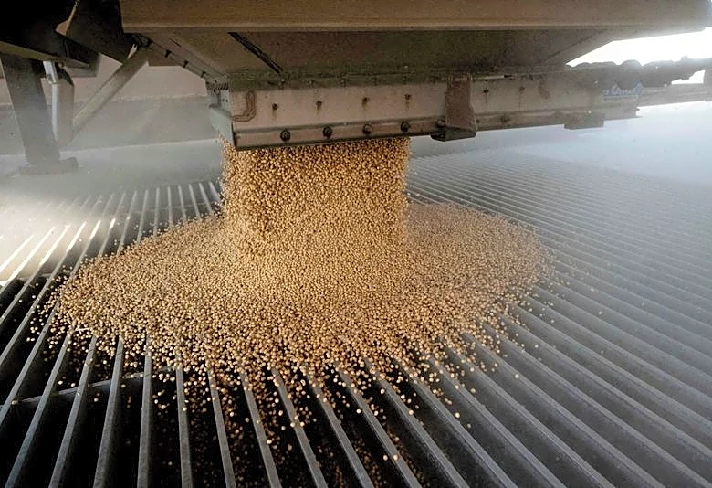 USDA leaves US soybean export outlook unchanged after China sales resume