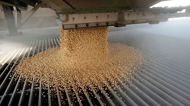 USDA leaves US soybean export outlook unchanged after China sales resume