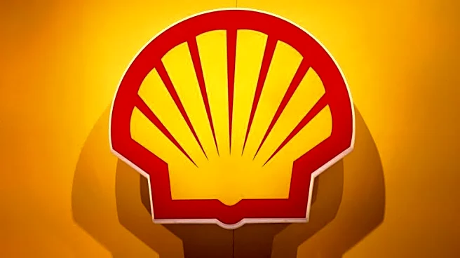 Exclusive-Shell in advanced talks to buy LLOG Exploration for more than $3 billion, sources say