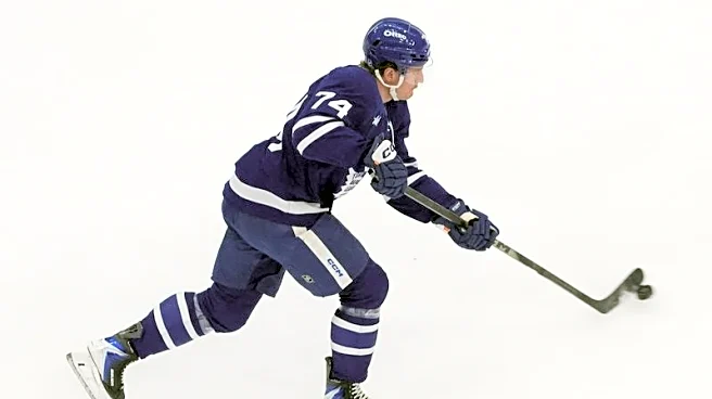 Leafs' Bobby McMann suspended 1 game for dangerous high-stick