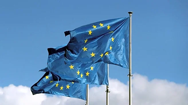 Europe's EV sector warns about 'efforts to dilute' EU emissions targets