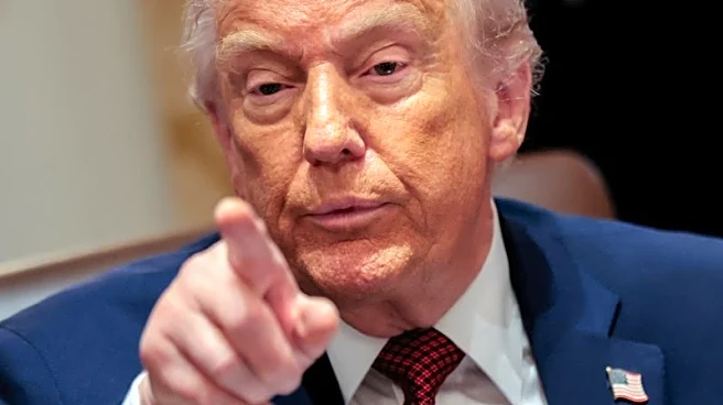 Exclusive-Tax prosecutions plunge as Trump shifts crime-fighting efforts