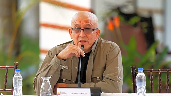 Exclusive-Colombia's ELN rebels willing to resume talks, leader says