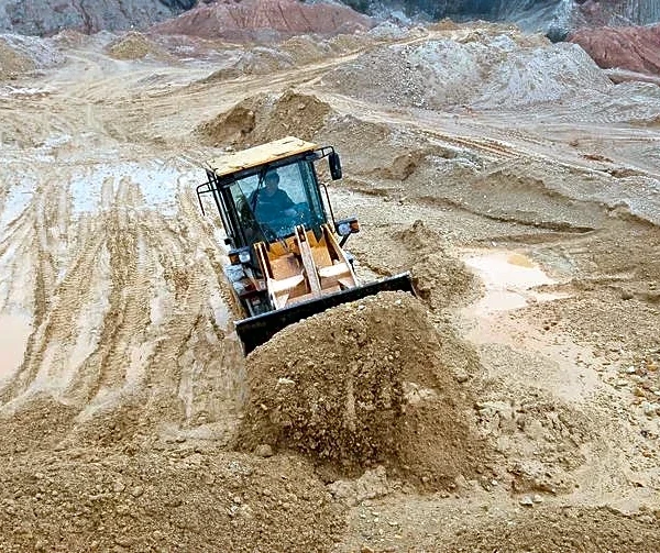 Ford suppliers receive China's new streamlined rare-earth licences