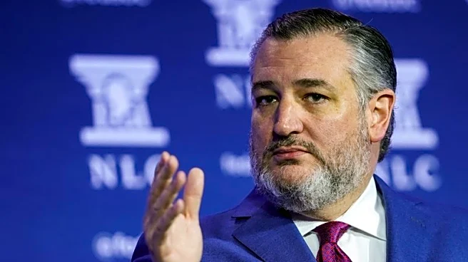 US lawmakers, NTSB say military helicopter proposal would make skies less safe