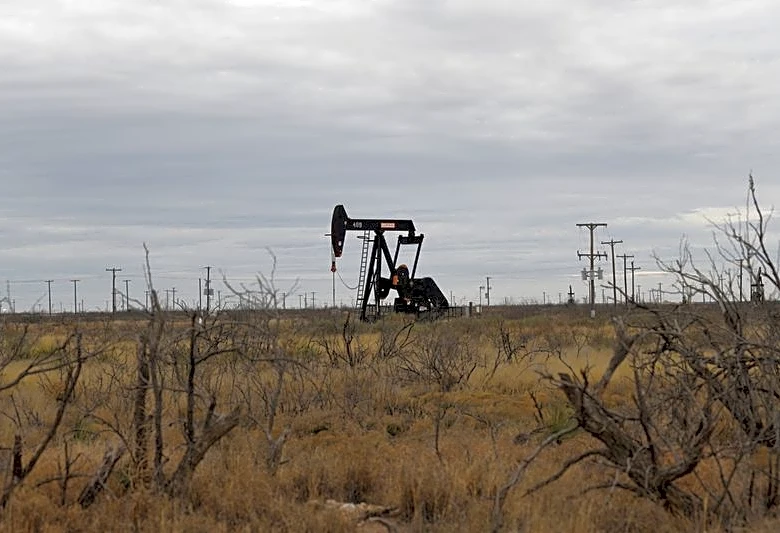 Exclusive-Buyout firm Carnelian raises eyebrows with rare effort to sell multiple energy assets, sources say