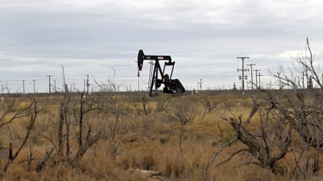 Exclusive-Buyout firm Carnelian raises eyebrows with rare effort to sell multiple energy assets, sources say