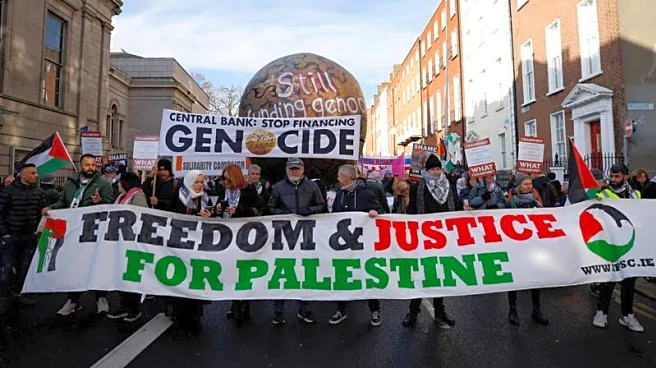 Irish minister defends 'limited' trade curbs on Israeli settlements