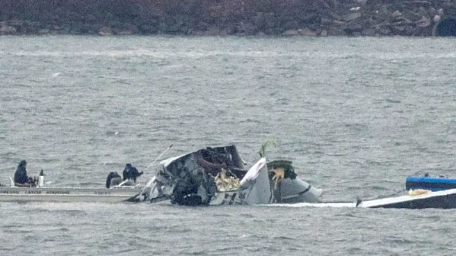 US transportation chief says he will ensure safety of DC air traffic