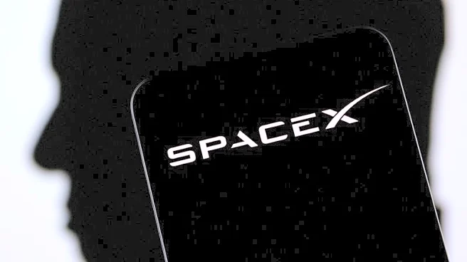 SpaceX insider share sale sets $800 billion valuation as it prepares to go public, Bloomberg News reports