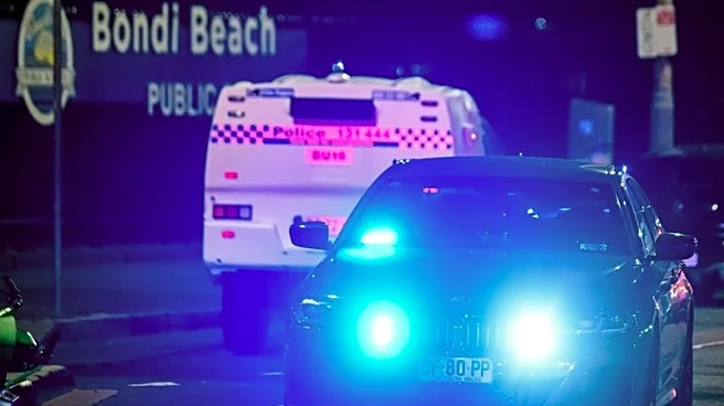 Bystander who tackled armed man at Bondi Beach shooting hailed as hero