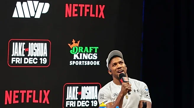 Boxing-‘Saviour’ Joshua to pummel Paul for the good of the sport