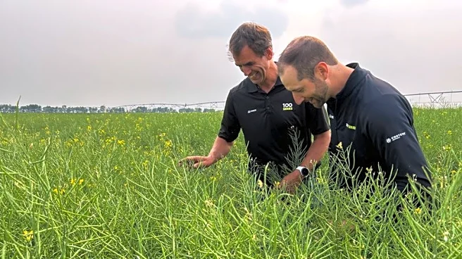 How Canada's farmers are producing record crops despite droughts and floods