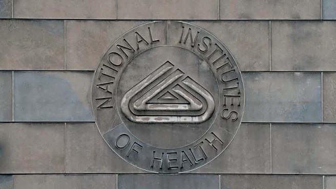 US NIH races to fill nearly half its top roles after wave of departures