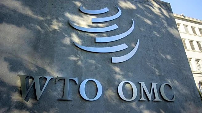 WTO chair rules out reform deal at next major meeting, document shows