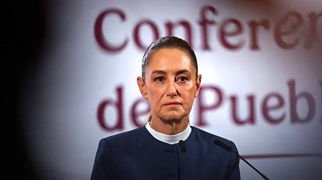 Mexican president calls on UN to avoid bloodshed in Venezuela