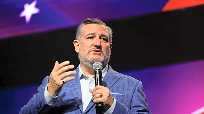 US Senate unanimously approves military helicopter safety legislation