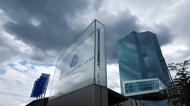 ECB to hold rates steady as euro zone economy shows resilience