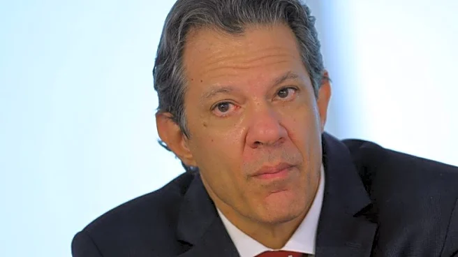 Brazil's Haddad reaffirms he will not run for public office next year