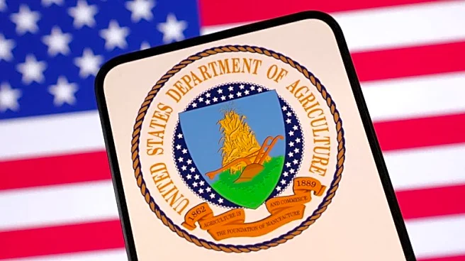 USDA updates release schedule for export sales reports suspended by shutdown