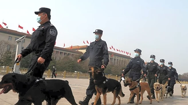 From Alsatians to autonomy: China seeks home-grown edge in police dogs