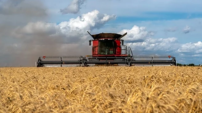 US farm agency unlikely to issue more farm aid, says official