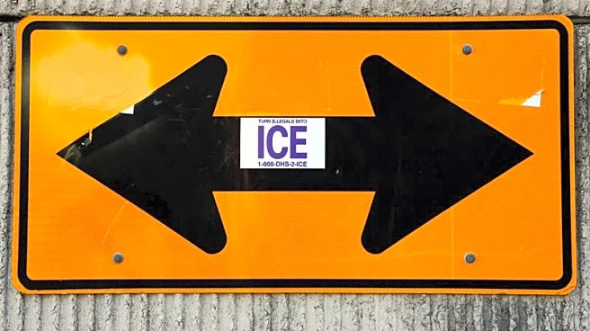 Four died in ICE custody this week as 2025 deaths reach 20-year high